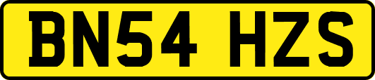 BN54HZS