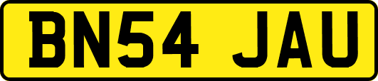 BN54JAU