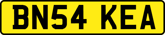 BN54KEA