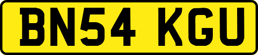 BN54KGU