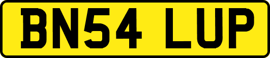 BN54LUP