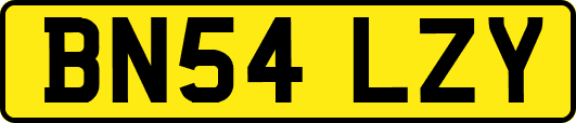 BN54LZY