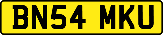 BN54MKU