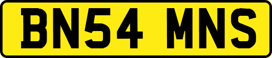 BN54MNS