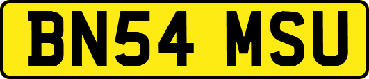 BN54MSU