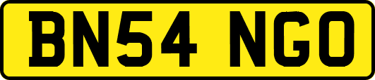 BN54NGO
