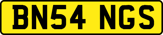 BN54NGS