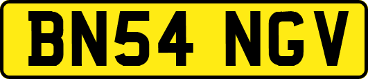 BN54NGV