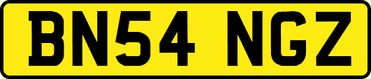 BN54NGZ