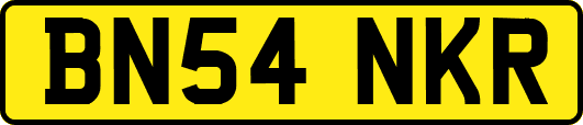 BN54NKR