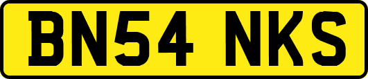 BN54NKS