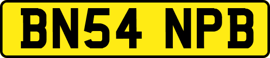 BN54NPB