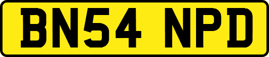 BN54NPD