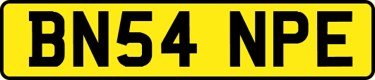 BN54NPE