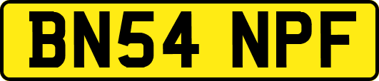 BN54NPF