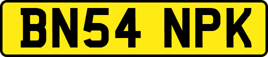BN54NPK