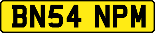 BN54NPM