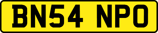 BN54NPO