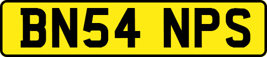 BN54NPS