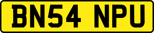 BN54NPU