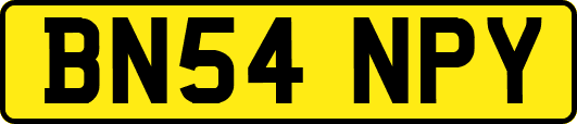 BN54NPY
