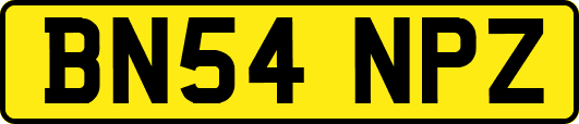 BN54NPZ