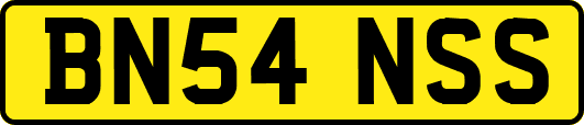 BN54NSS