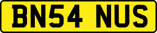 BN54NUS