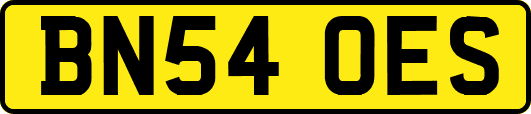 BN54OES