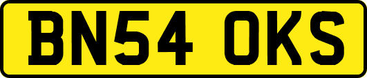 BN54OKS