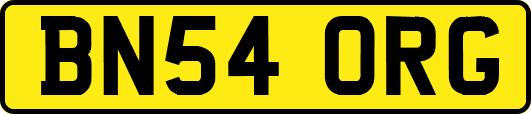 BN54ORG