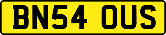 BN54OUS