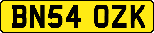 BN54OZK