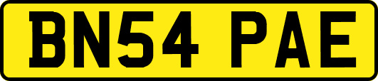 BN54PAE