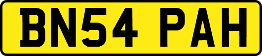 BN54PAH