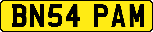 BN54PAM
