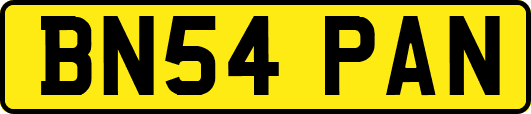 BN54PAN