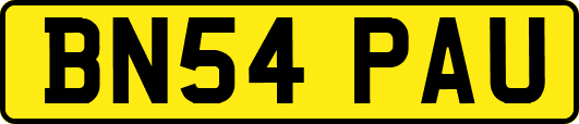 BN54PAU