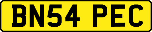BN54PEC