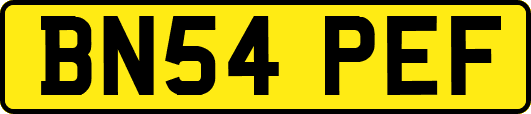 BN54PEF