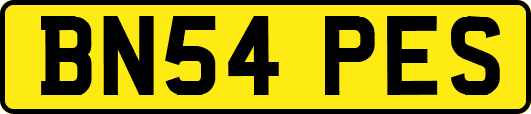 BN54PES