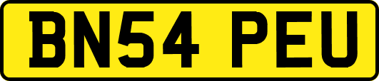 BN54PEU