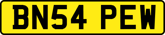 BN54PEW