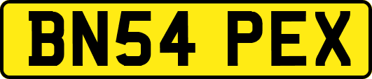 BN54PEX