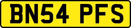 BN54PFS