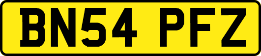 BN54PFZ
