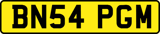BN54PGM