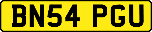 BN54PGU