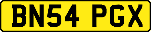 BN54PGX