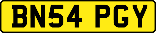 BN54PGY